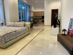 Orchard Scotts (D9), Condominium #546541341